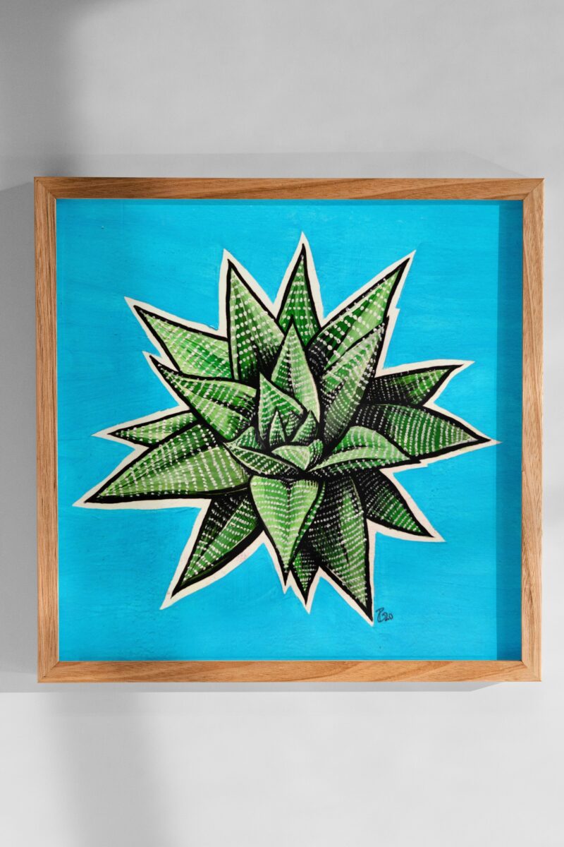 "Haworthia" - Pintura a Óleo